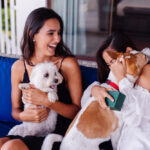 hopedagem pet friendly