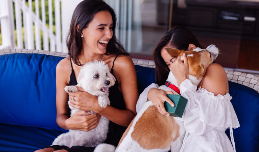 hopedagem pet friendly